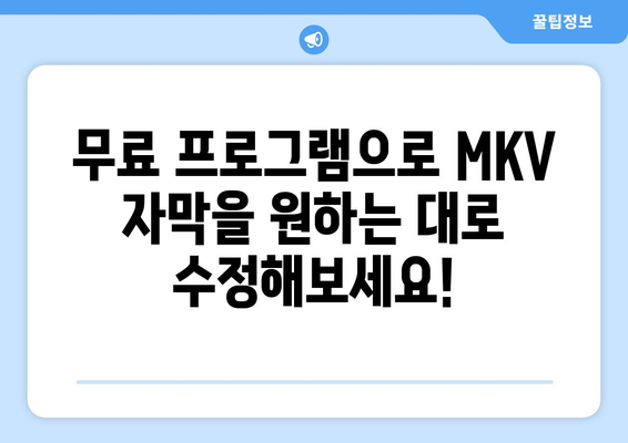 MKV 자막 추출 및 편집 프로그램 무료 다운로드 및 설치