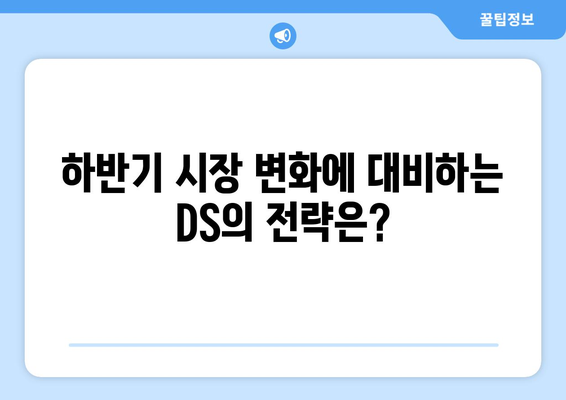 하반기 전망에 대한 DS의 견해