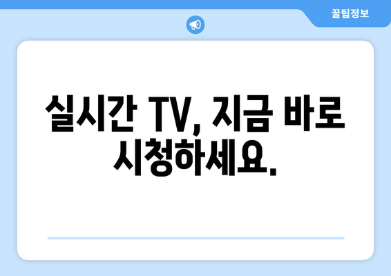 티비 몰아보기, 실시간 TV 시청하기