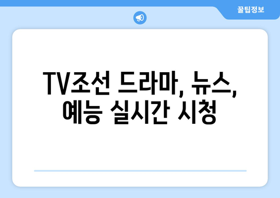 tv조선 온에어 편성표에서 드라마, 뉴스, 예능 시청하기