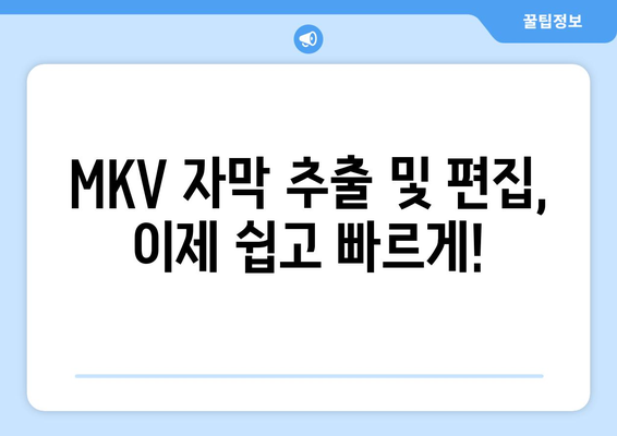 MKV 자막 추출 및 편집 프로그램 무료 다운로드 및 설치