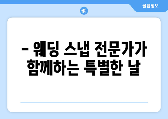 2024년 하반기 웨딩 스냅 상품 안내