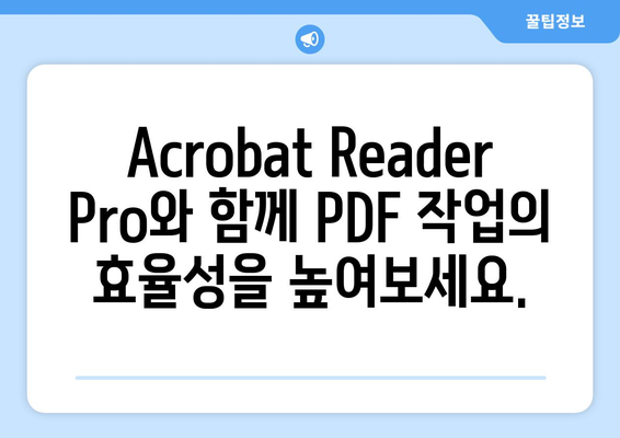 Adobe Acrobat Reader Pro 무료 다운로드 및 설치: PDF 파일 수정 편집