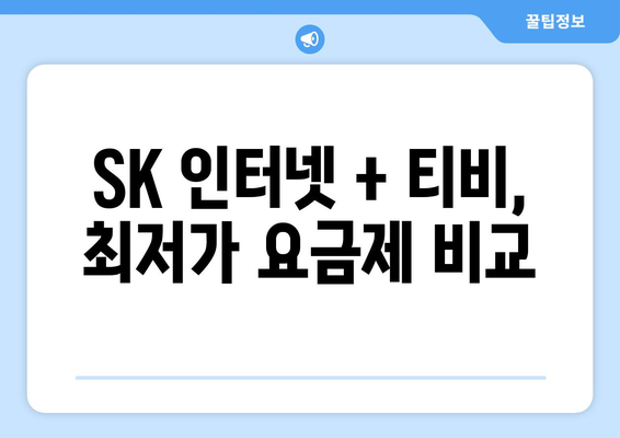 SK 인터넷 가입 시 현금 많은 받는 방법 - 티비 요금제 비교