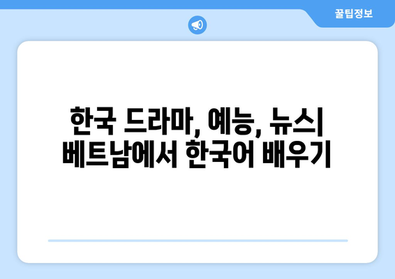 베트남에서 다른 한국 드라마, 예능, 뉴스 시청