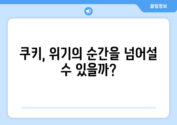 하이라키 시즌 2 대망: 쿠키의 운명은?