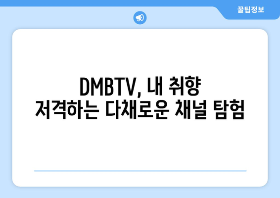 DMBTV에서 실시간 TV 시청과 다양한 채널 즐기기