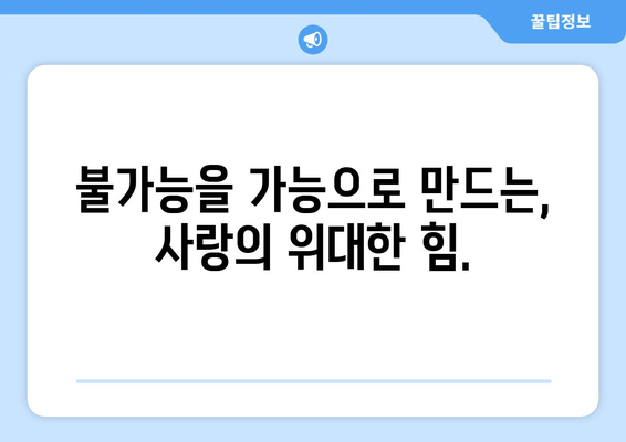 사랑의 기적: 고난을 극복한 로맨스 이야기