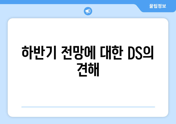 하반기 전망에 대한 DS의 견해