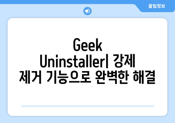 설치된 프로그램 강제 제거 프로그램 Geek Uninstaller