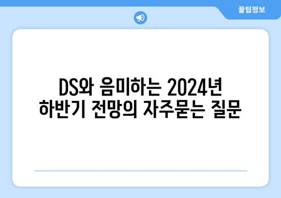 DS와 음미하는 2024년 하반기 전망