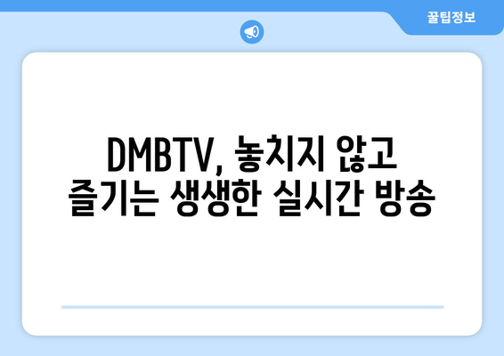 DMBTV에서 실시간 TV 시청과 다양한 채널 즐기기