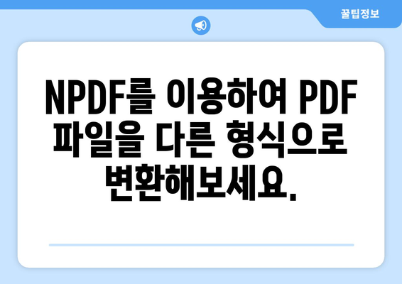 PDF 변환 프로그램 NPDF 무료 설치