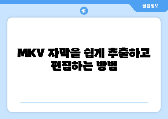 MKV 자막 추출 및 편집 프로그램 무료 다운로드 및 설치