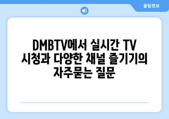 DMBTV에서 실시간 TV 시청과 다양한 채널 즐기기