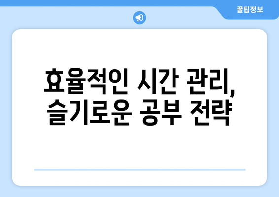 2024년 하반기 국가자격증 시험 대비 속태기 개선 꿀팁