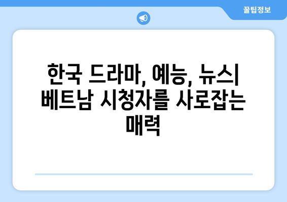 베트남에서 다른 한국 드라마, 예능, 뉴스 시청