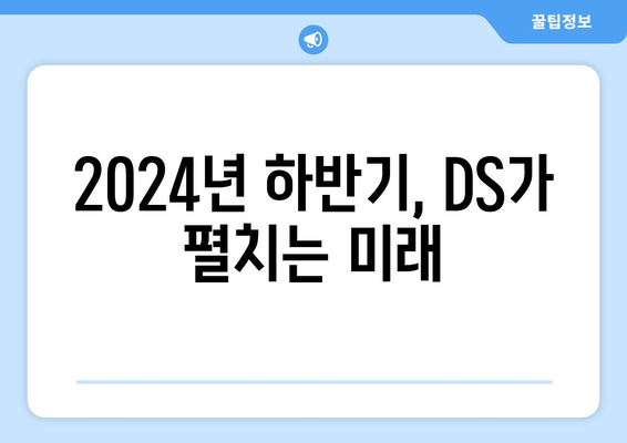 DS와 음미하는 2024년 하반기 전망