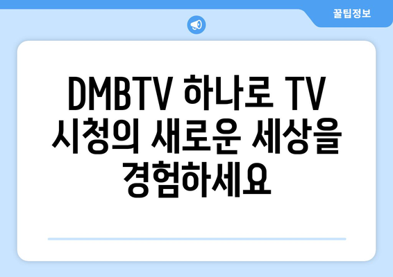 DMBTV에서 실시간 TV 시청과 다양한 채널 즐기기