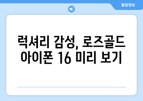 미리보기와 함께! 아이폰 16 로즈골드 색상 부활