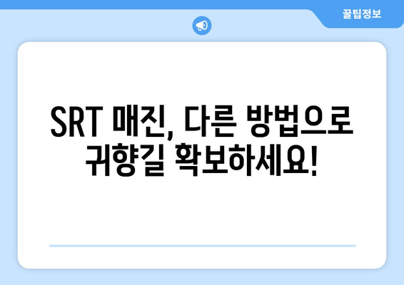 SRT 명절 승차권 매진 시 대비책