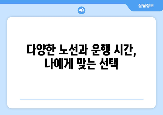 추석 고속버스 이용, 기차보다 든든한 대안