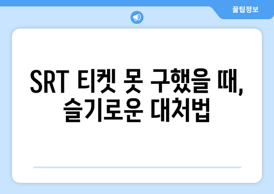 SRT 명절 승차권 매진 시 대비책