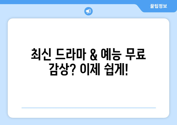 티비위키 다시보기 사이트 모음, 최신 드라마와 예능을 무료로 즐기는 팁