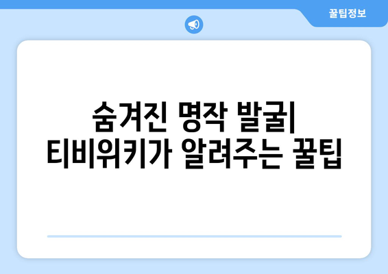 티비위키 드라마 추천: 최신작과 인기작 모두 보기