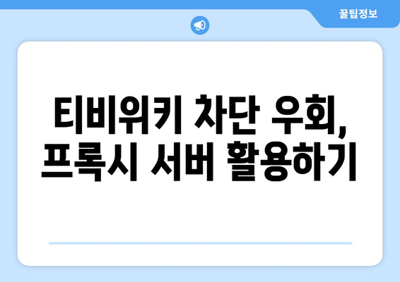 티비위키 우회 접속법, 차단된 사이트를 안전하게 시청하는 법