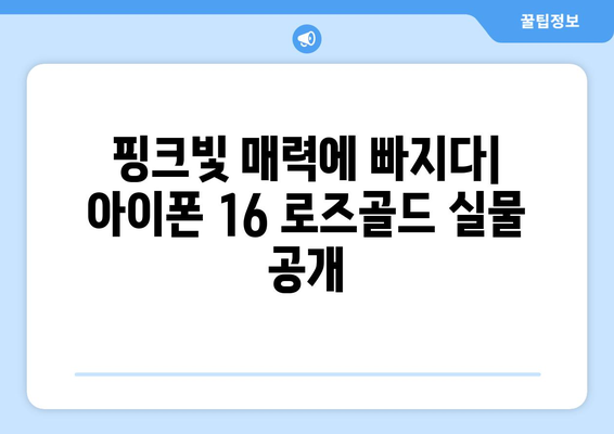 아이폰 16 로즈골드 색상 부활!