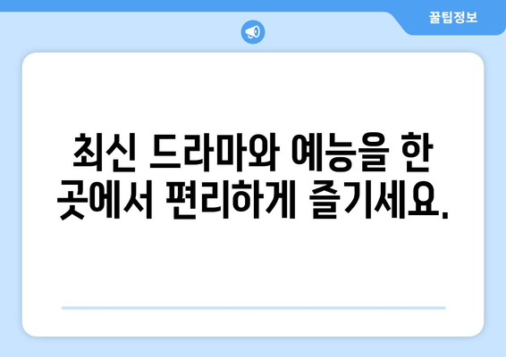 드라마 다시보기 티비위키, 최신 드라마와 예능을 함께 시청하기