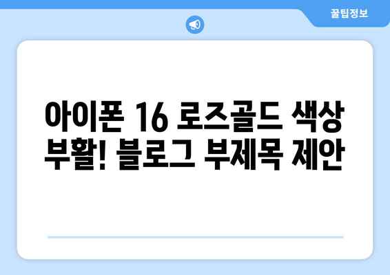 아이폰 16 로즈골드 색상 부활!