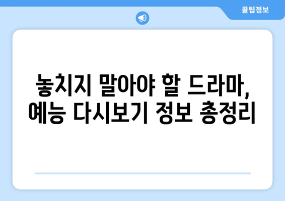 드라마 예능 다시보기, 인기 프로그램을 놓치지 않고 시청하기