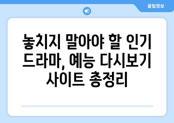 드라마 예능 다시보기 사이트 추천, 최신 인기 콘텐츠를 한 번에