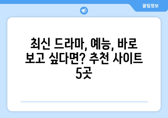 드라마 예능 다시보기 사이트 추천, 최신 인기 콘텐츠를 한 번에