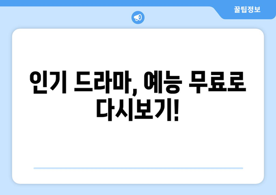 드라마 예능 다시보기 사이트 추천, 인기 프로그램을 무료로 빠르게 시청하는 방법