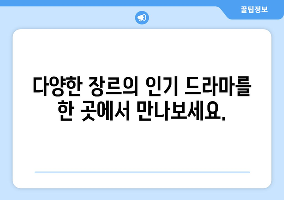 티비위키 드라마 목록: 인기 드라마 한눈에 감상