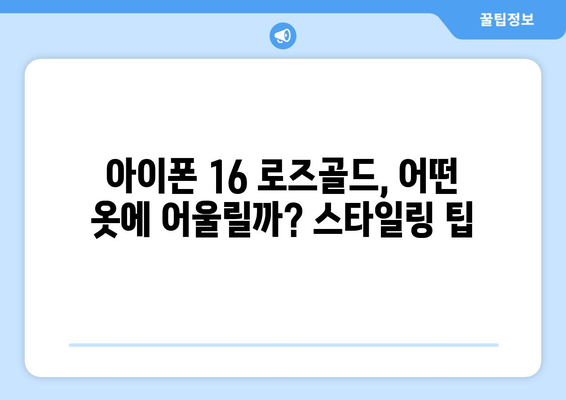 아이폰 16 로즈골드 색상 부활!