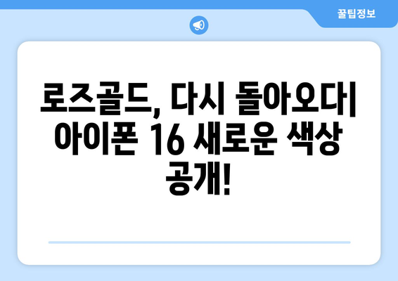 아이폰 16 로즈골드 색상 부활!