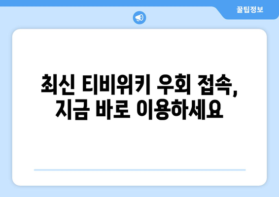 티비위키 우회 접속법, 안전하게 우회해서 접속하는 방법