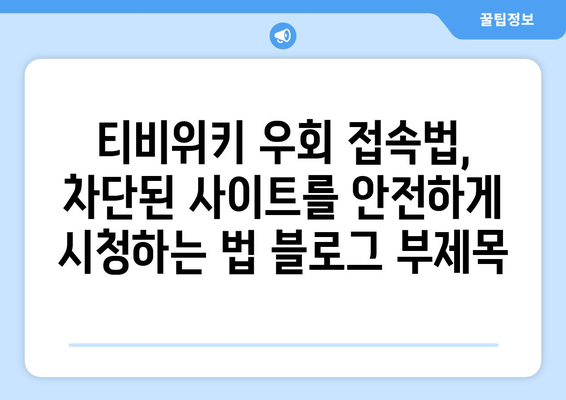 티비위키 우회 접속법, 차단된 사이트를 안전하게 시청하는 법