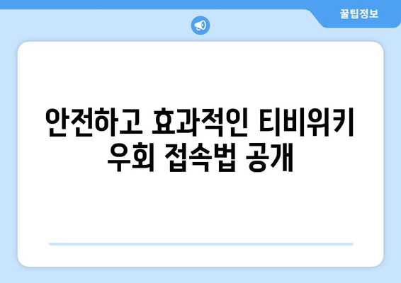 티비위키 우회 접속법, 안전하게 우회해서 접속하는 방법