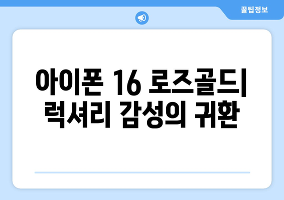 아이폰 16 로즈골드 색상 부활!