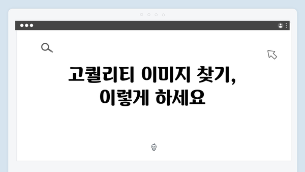 디자이너를 위한 필수 도구, freeimagesearch.co.kr 완벽 활용법