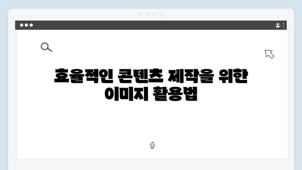 최신 트렌드 분석: freeimagesearch.co.kr 이미지 큐레이션 서비스