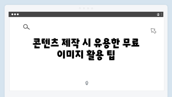 2024년 콘텐츠 제작자를 위한 freeimagesearch.co.kr 완벽분석