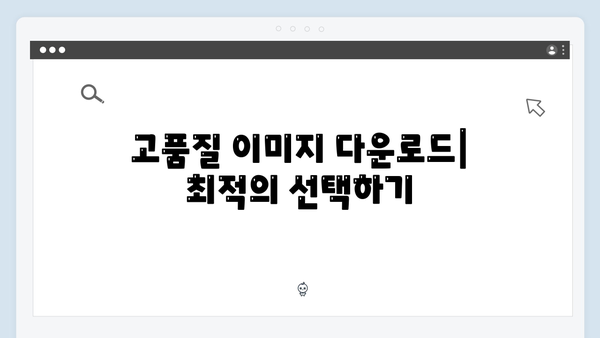 디지털 크리에이터를 위한 freeimagesearch.co.kr 완벽 활용법