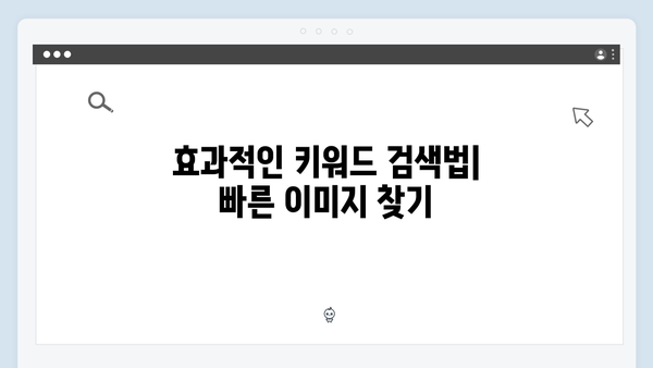 SNS 콘텐츠 제작을 위한 freeimagesearch.co.kr 활용 가이드