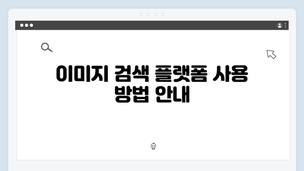 콘텐츠 제작자를 위한 freeimagesearch.co.kr 이미지 검색 플랫폼